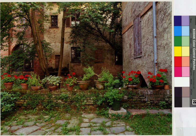 Immagine
