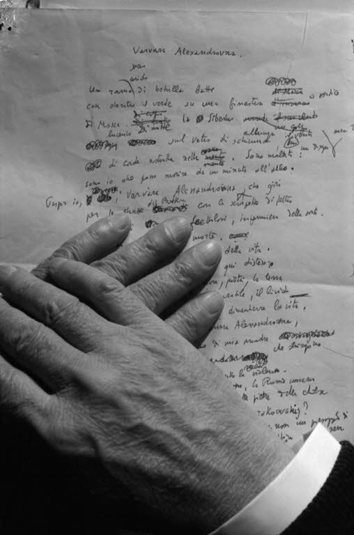 Immagine