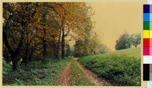imm_MI170_0000089