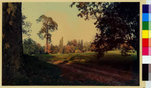 imm_MI170_0000090