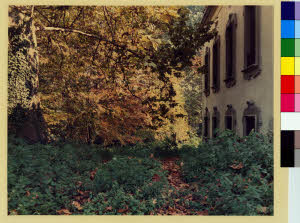 imm_MI170_0000092