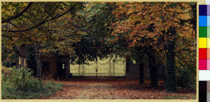 imm_MI170_0000098