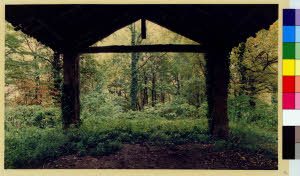 imm_MI170_0000103