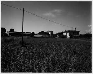 imm_MI170_0000642
