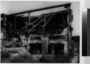 imm_MI170_0000838