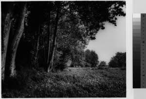 imm_MI170_0000847