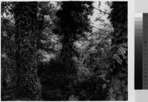 imm_MI170_0000848