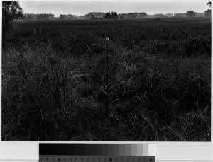 imm_MI170_0001029