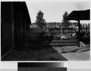 imm_MI170_0001031