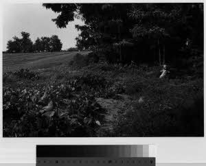 imm_MI170_0001038