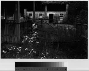 imm_MI170_0001046