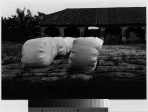 imm_MI170_0001047