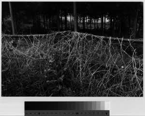 imm_MI170_0001048