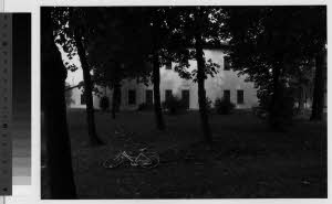 imm_MI170_0001151