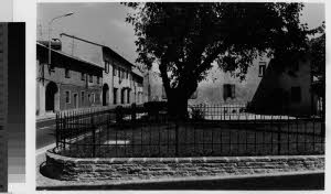 imm_MI170_0001193