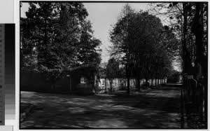 imm_MI170_0001334