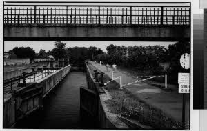 imm_MI170_0001352