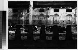 imm_MI170_0001388