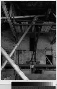 imm_MI170_0001399