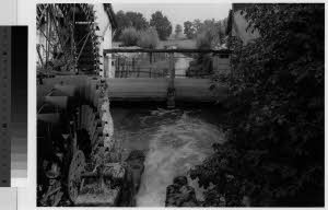 imm_MI170_0001405