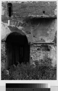 imm_MI170_0001408