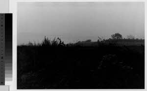 imm_MI170_0001611