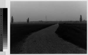 imm_MI170_0001613