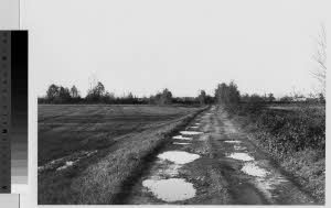 imm_MI170_0001617