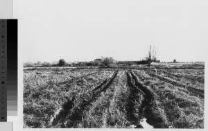 imm_MI170_0001619