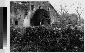 imm_MI170_0001625