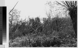 imm_MI170_0001627