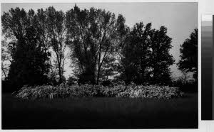 imm_MI170_0001741