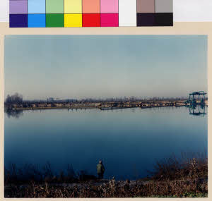 imm_MI170_0002008