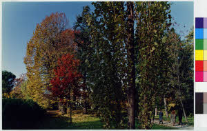 imm_MI170_0002337