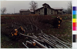 imm_MI170_0002340