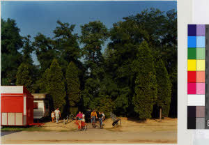 imm_MI170_0002412