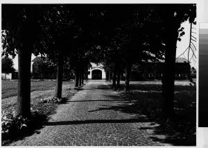 imm_MI170_0002551