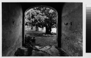 imm_MI170_0002973