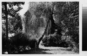 imm_MI170_0002974