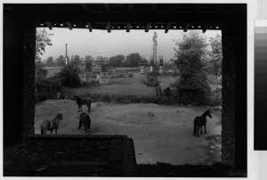imm_MI170_0003167