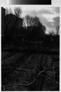 imm_MI170_0003176