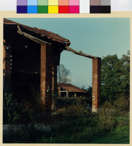imm_MI170_0003202