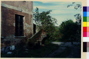 imm_MI170_0003203