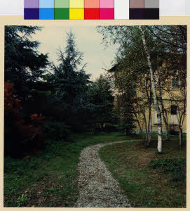 imm_MI170_0003216