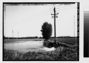 imm_MI170_0003368