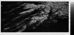imm_MI170_0003423
