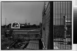 imm_MI170_0003558