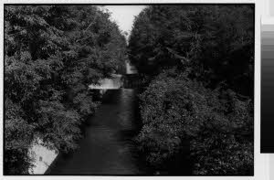 imm_MI170_0003567