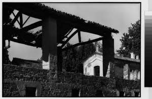 imm_MI170_0003571