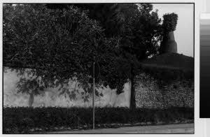 imm_MI170_0003575